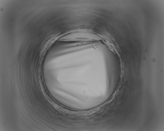 X0000078250001200612011641