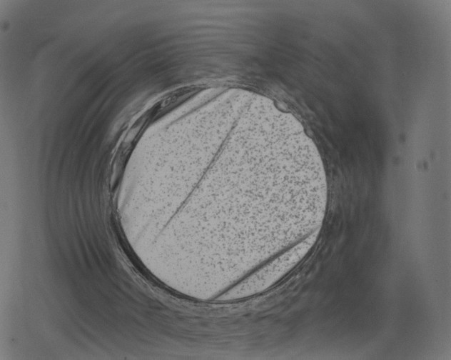 X0000078250002200612011641