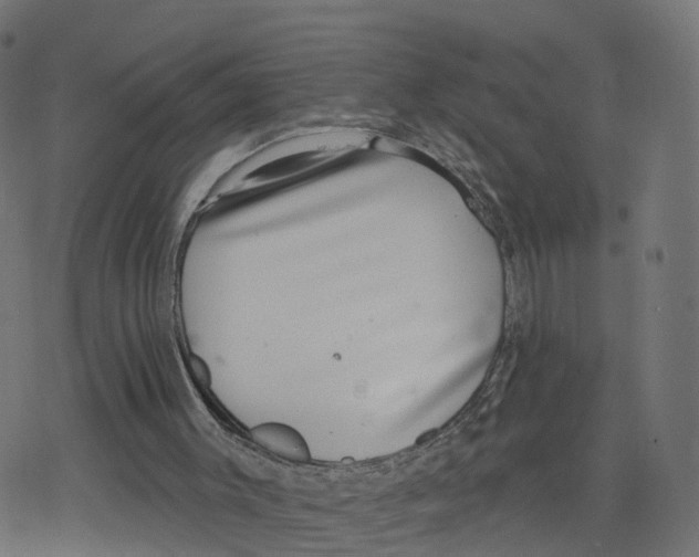 X0000078250003200612011641