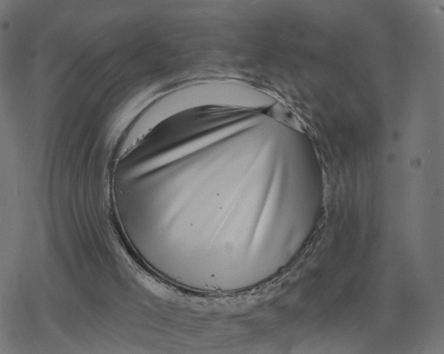 X0000078250005200612011641