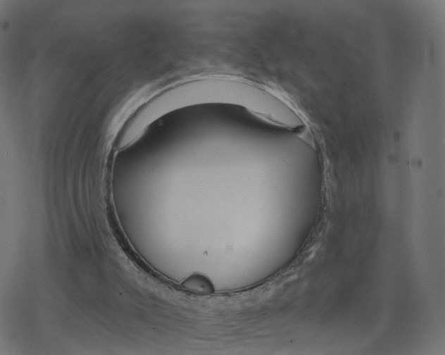 X0000078250007200612011641