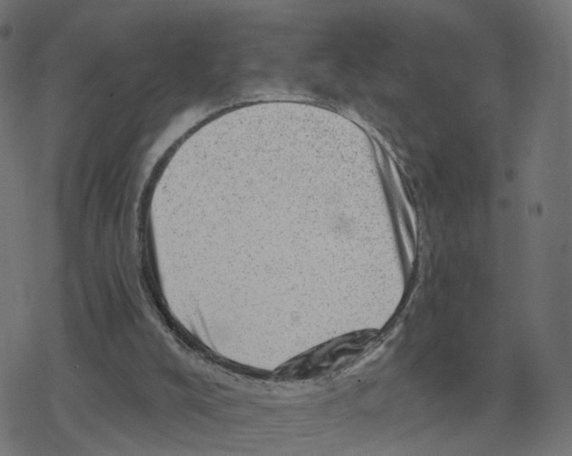 X0000078250008200612011641