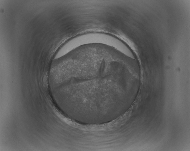 X0000078250009200612011641