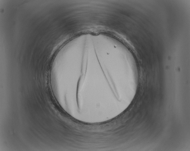 X0000078250010200612011641