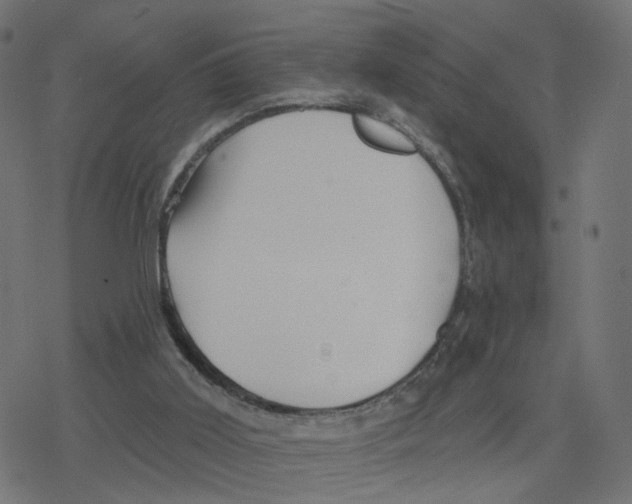 X0000078250011200612011641