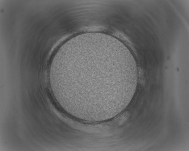 X0000078250012200612011641