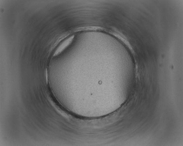 X0000078250013200612011641