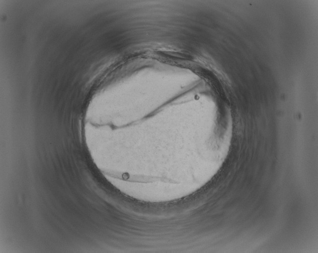 X0000078250014200612011641