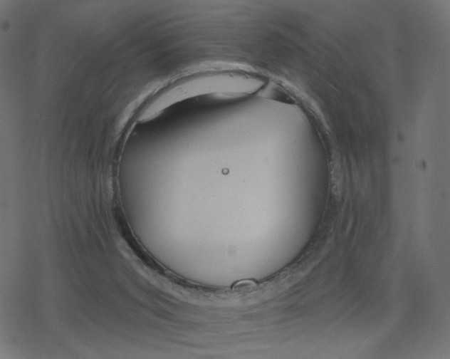 X0000078250015200612011641