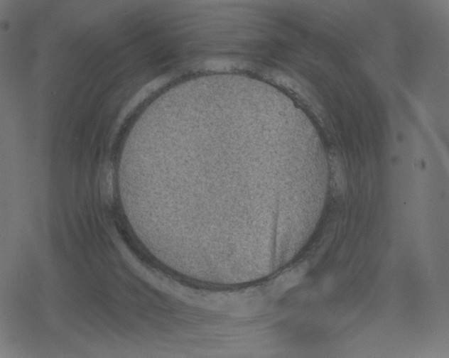 X0000078250016200612011641