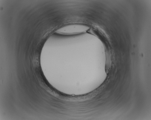 X0000078250017200612011641