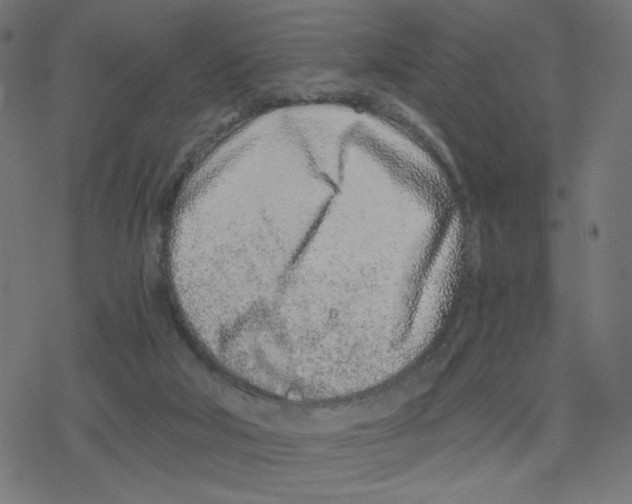 X0000078250018200612011641