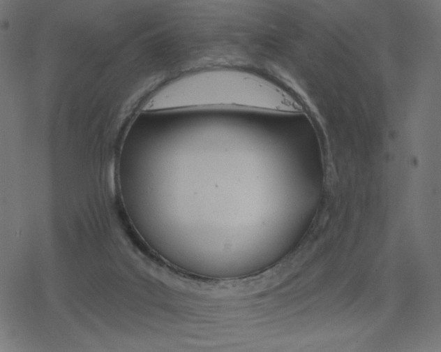 X0000078250019200612011641