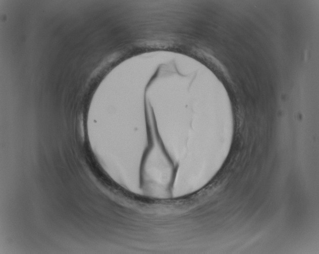 X0000078250020200612011641