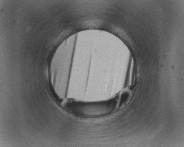 X0000078250021200612011641