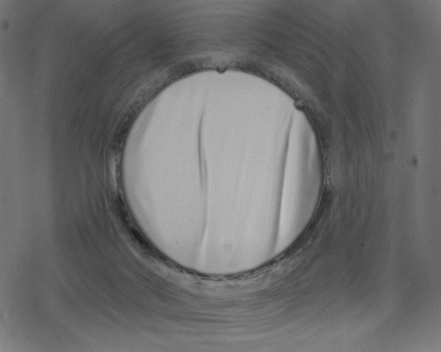 X0000078250022200612011641