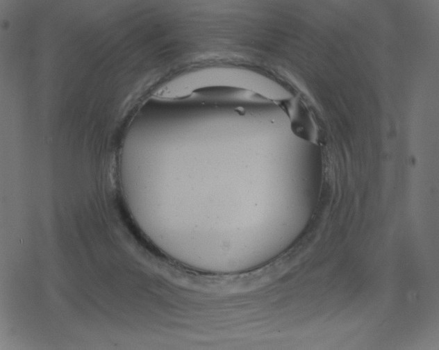 X0000078250023200612011641