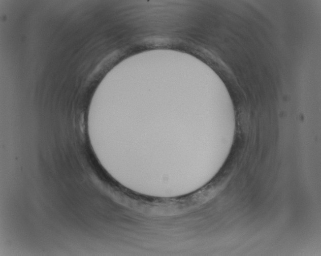 X0000078250024200612011641