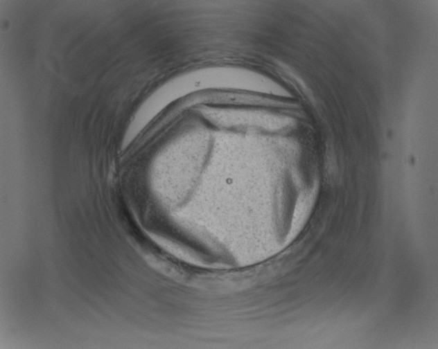 X0000078250025200612011641