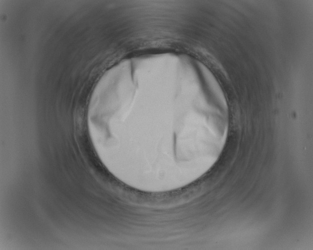 X0000078250026200612011641