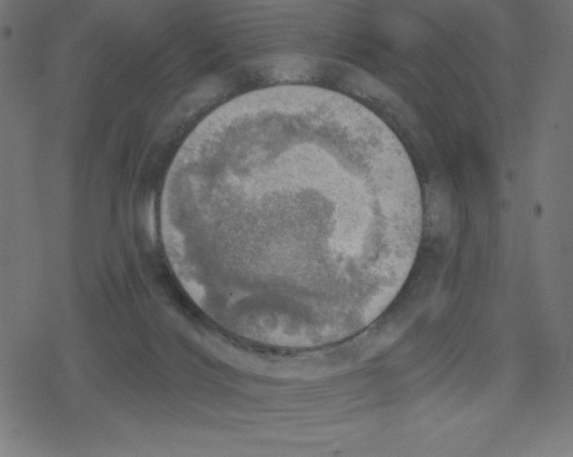 X0000078250028200612011641