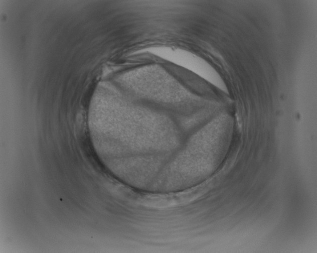 X0000078250029200612011641