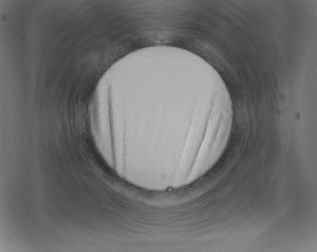 X0000078250030200612011641