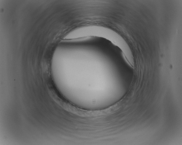 X0000078250031200612011641