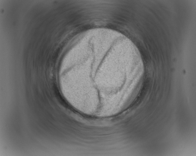 X0000078250032200612011641