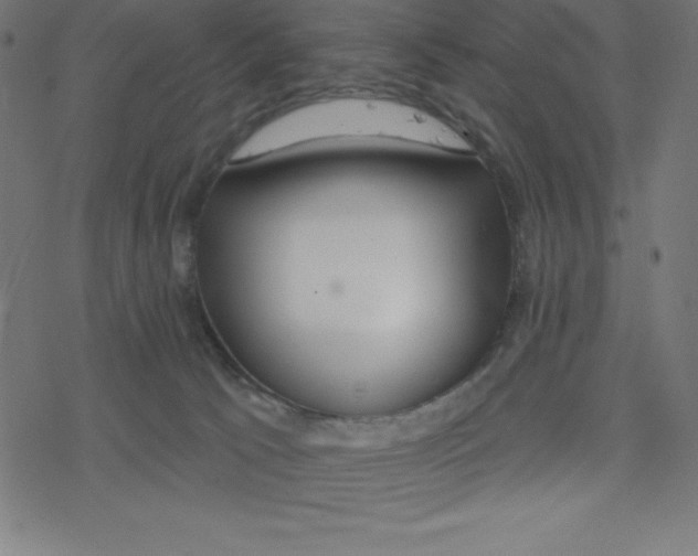 X0000078250033200612011641