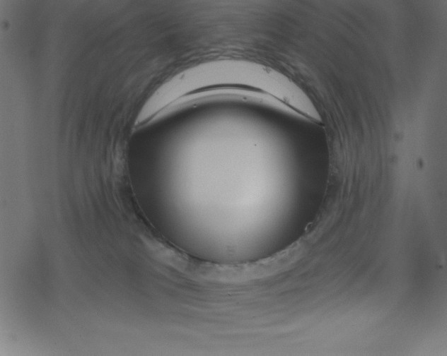 X0000078250037200612011640