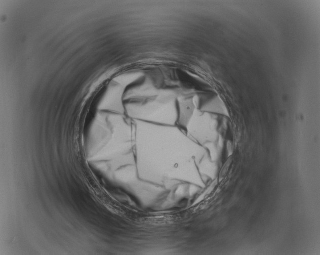 X0000078250050200612011640