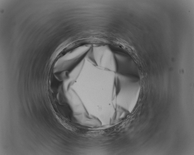 X0000078250051200612011640