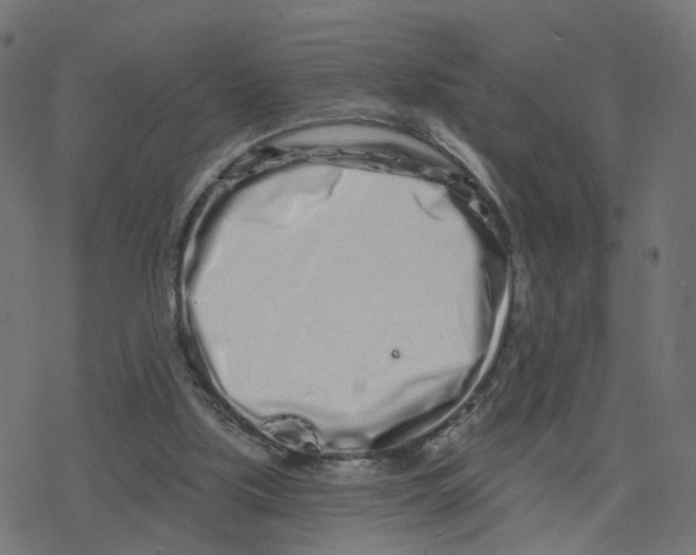 X0000078250059200612011640