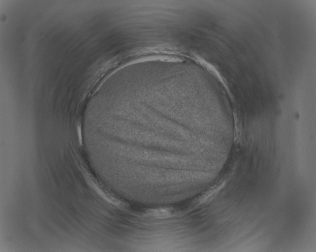 X0000078250061200612011640