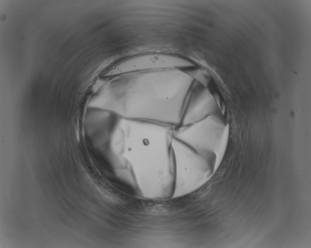 X0000078250062200612011640
