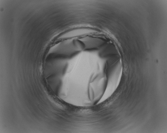X0000078250063200612011640