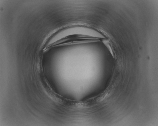 X0000078250064200612011640
