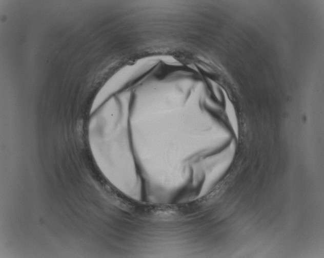 X0000078250066200612011640