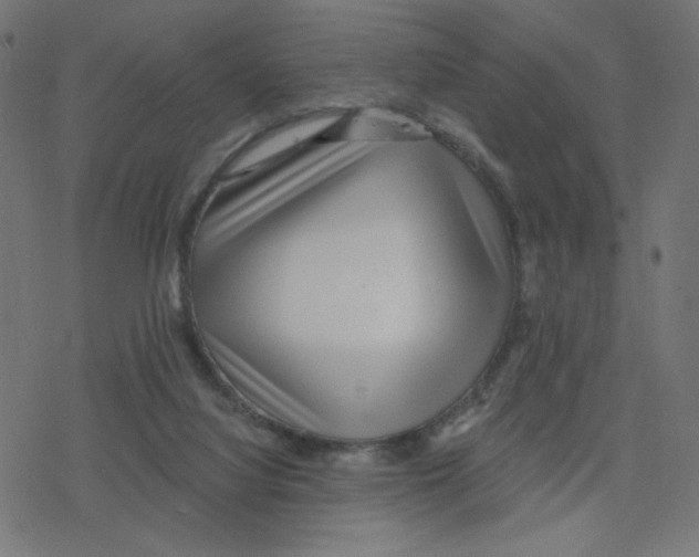 X0000078250068200612011640
