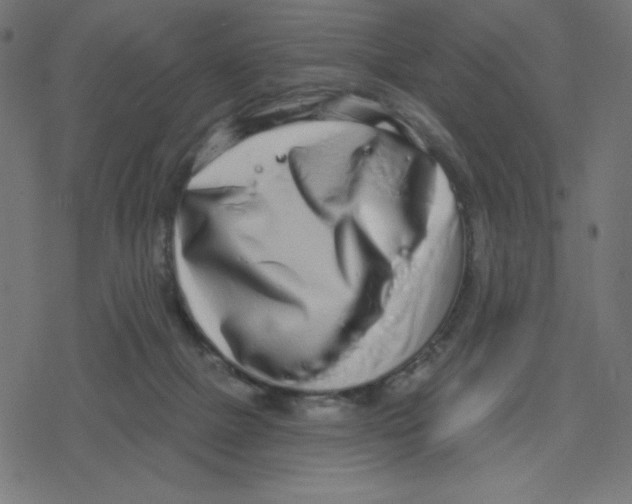 X0000078250073200612011640