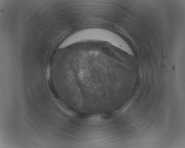 X0000078250076200612011640