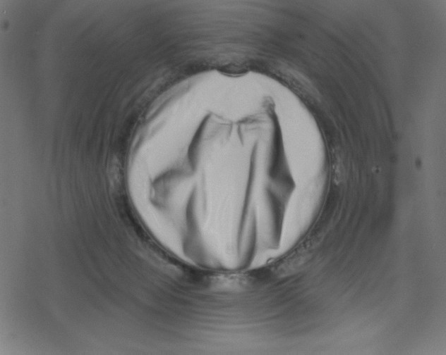X0000078250077200612011640
