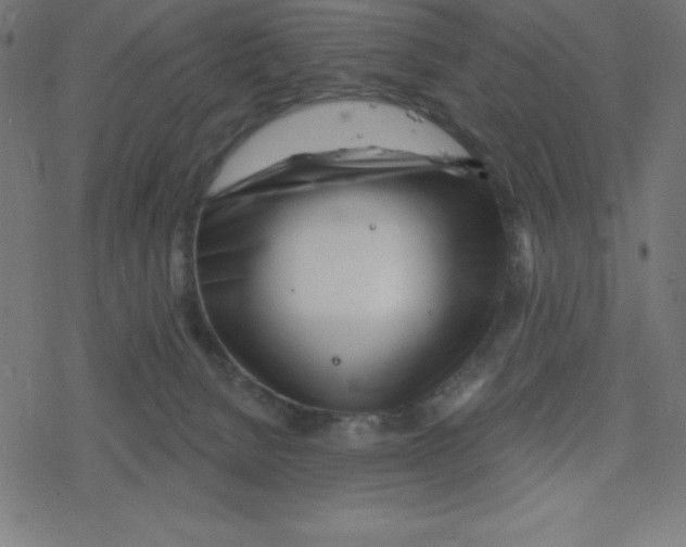X0000078250080200612011640