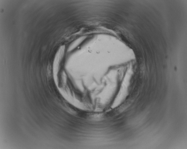 X0000078250081200612011640