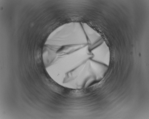 X0000078250082200612011640