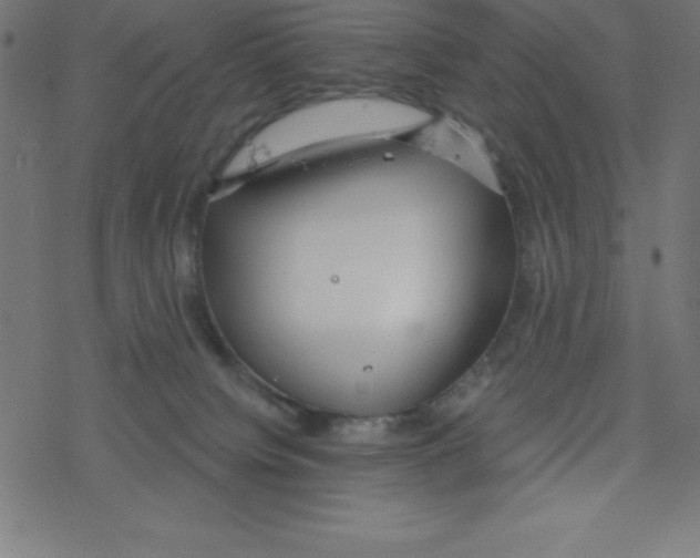 X0000078250084200612011640