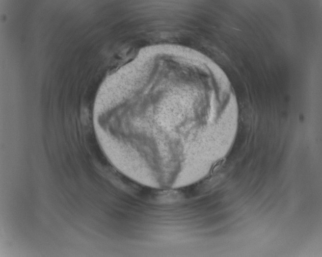 X0000078250087200612011640