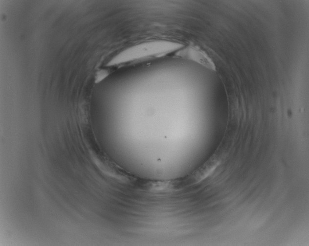 X0000078250088200612011640