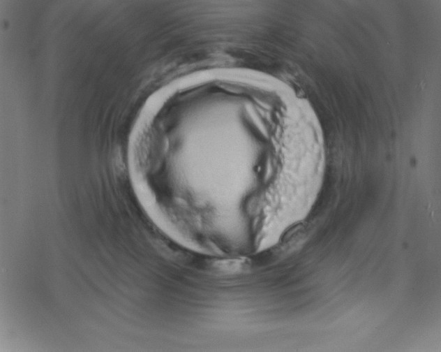 X0000078250089200612011640